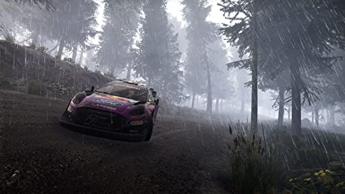 Nacon - WRC GENERATIONS para Nintendo Switch [Versión Española] - La zona Apple