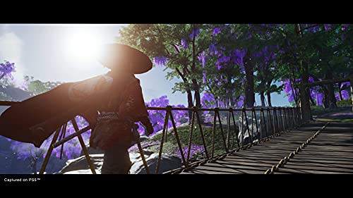 Ghost of Tsushima Director's Cut PS5 | Videojuego Original de Playstation Sony Intereactive Entertainment - Configurable en Japonés, Español, Portugués o Inglés - La zona Apple
