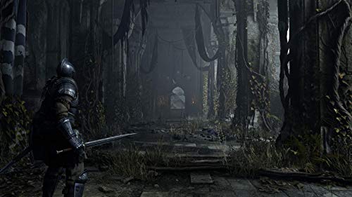 Playstation Demon's Souls - La zona Apple