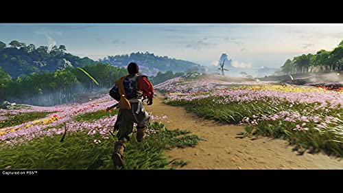 Ghost of Tsushima Director's Cut PS5 | Videojuego Original de Playstation Sony Intereactive Entertainment - Configurable en Japonés, Español, Portugués o Inglés - La zona Apple
