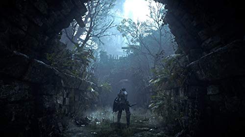 Playstation Demon's Souls - La zona Apple