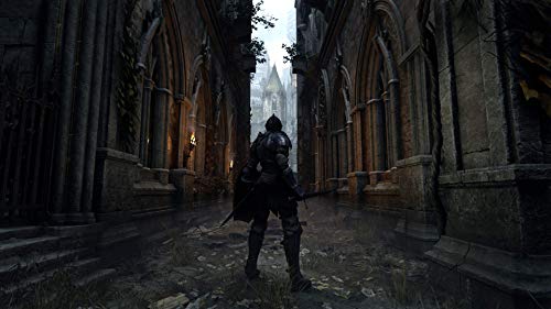 Playstation Demon's Souls - La zona Apple