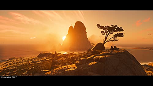 Ghost of Tsushima Director's Cut PS5 | Videojuego Original de Playstation Sony Intereactive Entertainment - Configurable en Japonés, Español, Portugués o Inglés - La zona Apple